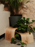 Wooden Floor Plant Stand - Set of 3
