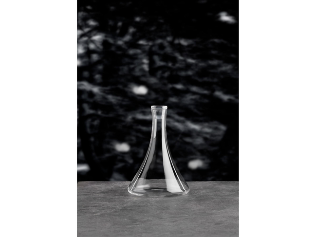 Dekantas „Villa Denmark“