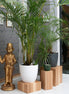 Floor Planter Podium Wooden Cubes (Set of 3)