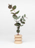 Totem Wooden Vase - Short Nº 1