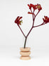 Totem Wooden Vase - Short Nº 4